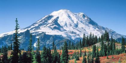 Alta Crystal Resort at Mt Rainier - image 19