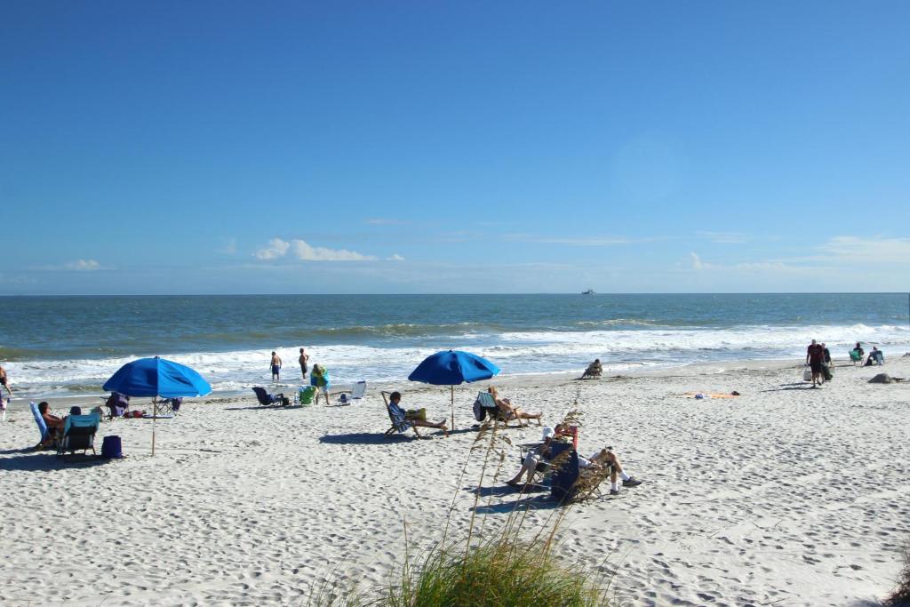 Hilton Head Resort - image 3