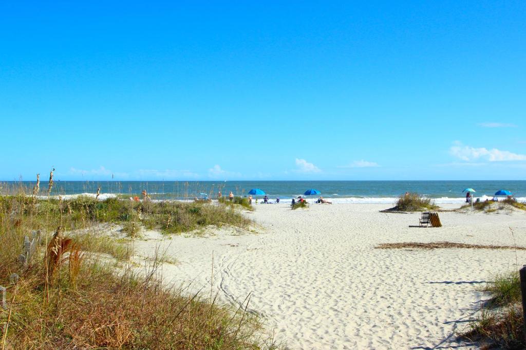 Hilton Head Resort - image 5