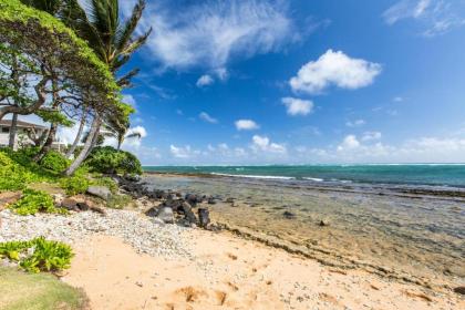 Kapaa Shore Resort #327 Oceanfront - image 17