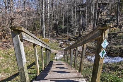 Cozy Beech Mountain Family Retreat with 2 Decks! - image 4