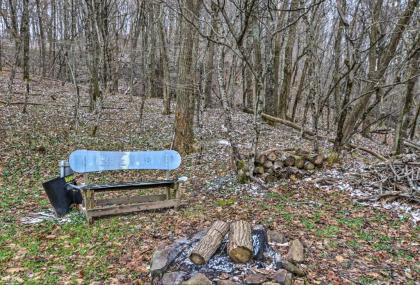 Cabin with Hot Tub and Mtn View 6 Mi to Snowshoe Resort - image 14