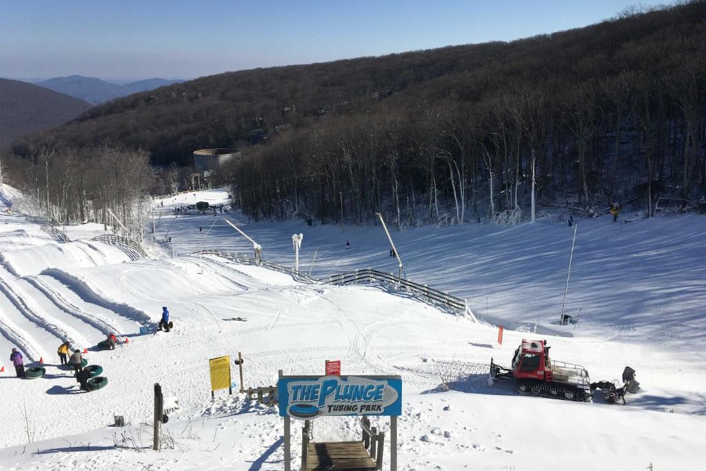 Wintergreen Resort Cabin with Deck-Small Dogs Allowed - image 6