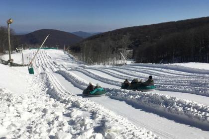 Wintergreen Resort Cabin with Deck-Small Dogs Allowed - image 8