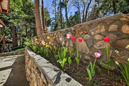 Lake Arrowhead Retreat By Snow Valley Mtn Resort! - image 15