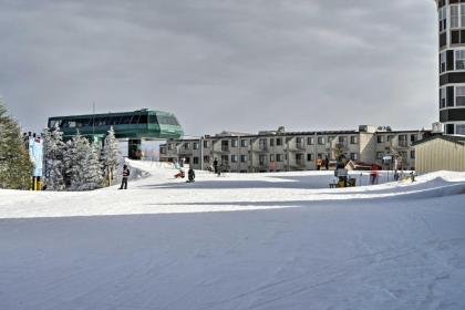 Mountaintop Chalet- 15 Min to Snowshoe Resort - image 12