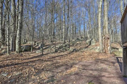 Family Cabin Walk to Lake Wallenpaupack and Marina! - image 14