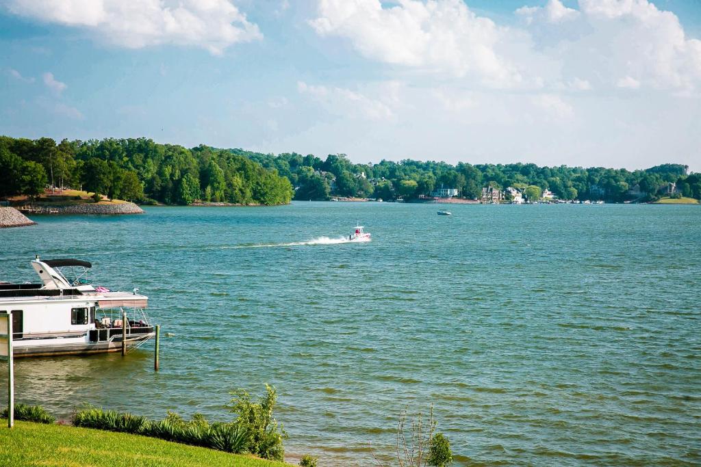 Lakefront Property Studio with Private Porch #39 at Long Cove Resort - image 6