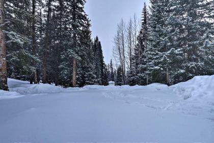 Mountain Cabin about 15 Mi to Breck Ski Resort - image 18