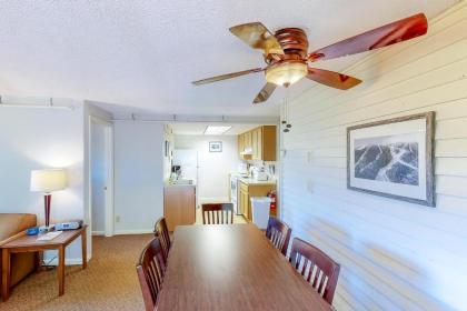 Mountainside Resort C402 - image 15