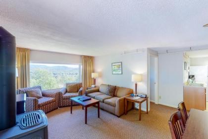 Mountainside Resort C402 - image 6