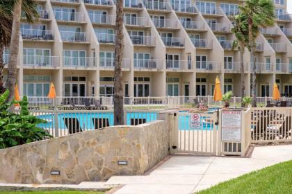 Soak up the sun! Spacious Bayview condo beachfront resort with shared pools & jacuzzi Pet Friendly - image 20