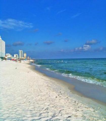 Sugar Shores at the Ocean Reef Resort - image 8