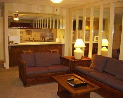 Vacation Villas Resort in the Heart of The Shenandoah Mountains - image 3