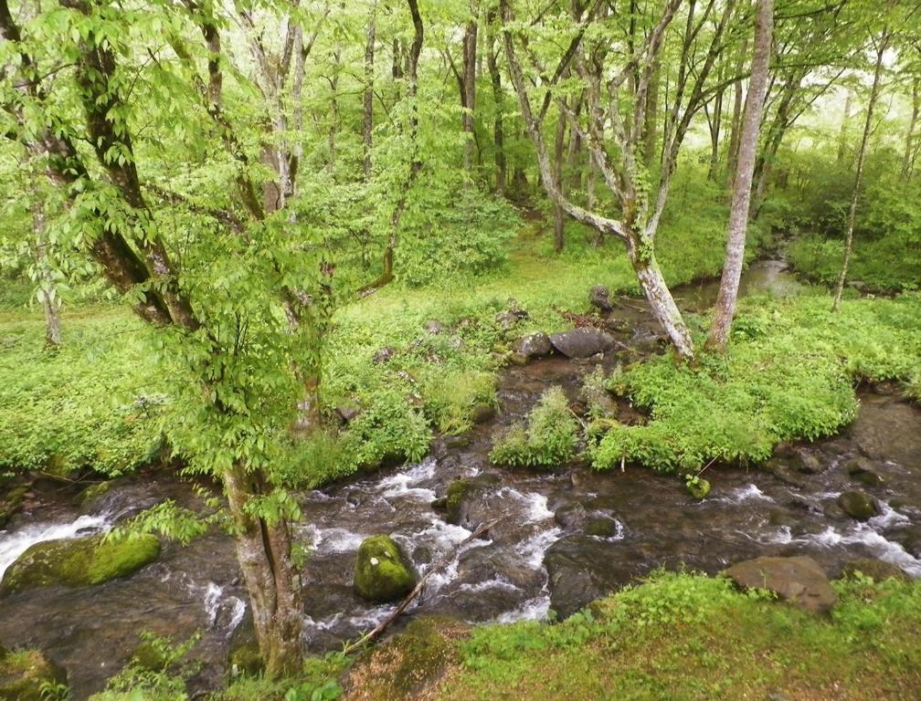 Relaxing Resort Condos at the Foothills of the Smoky Mountains - image 7