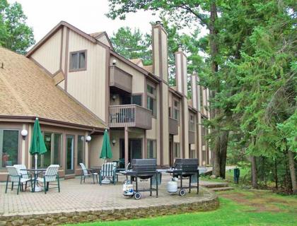 Lakefront Resort Condos on Lake Minocqua Wisconsin - image 4