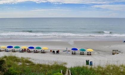 Quiet Oceanfront Beach Resort in Exciting Myrtle Beach - image 10