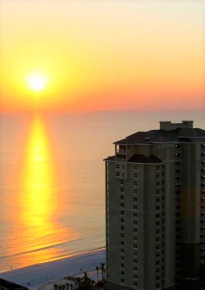 The Sand Dollar at Grand Panama Resort - image 2