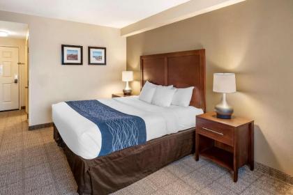 Comfort Inn & Suites Virginia Beach-Norfolk Airport - image 14