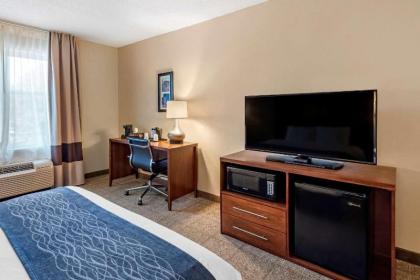 Comfort Inn & Suites Virginia Beach-Norfolk Airport - image 10