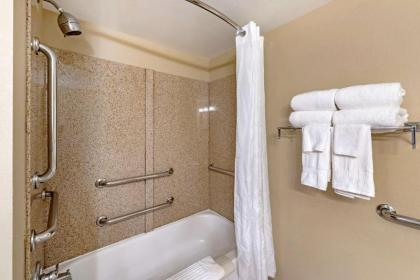 Comfort Inn & Suites Virginia Beach-Norfolk Airport - image 11