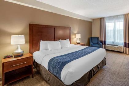 Comfort Inn & Suites Virginia Beach-Norfolk Airport - image 12