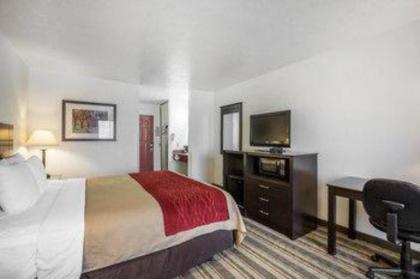 Comfort Inn & Suites Visalia - Sequoia