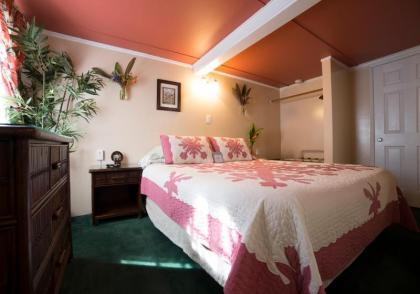 Wailuku Guesthouse - image 9