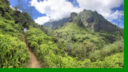 The Northshore Hostel Maui - image 4