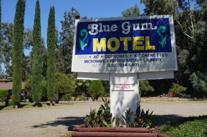 Blue Gum Motel