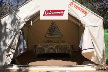 Luxury tents in Wimberley Texas