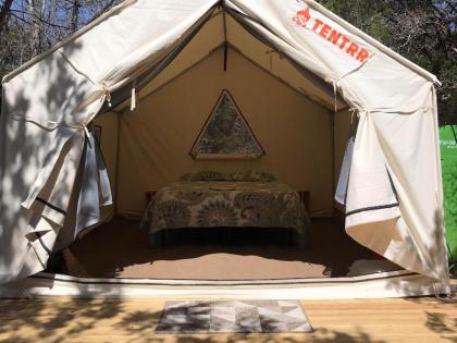 Tentrr Signature Site - Camping at The Cedars Ranch - image 2