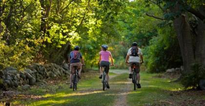 07 The Squam Lake Cottage 1-3 People 5 Min Walk to Harbor FREE BIKES KIEYAKS FIREWOOD WIFI This Cottage - image 12