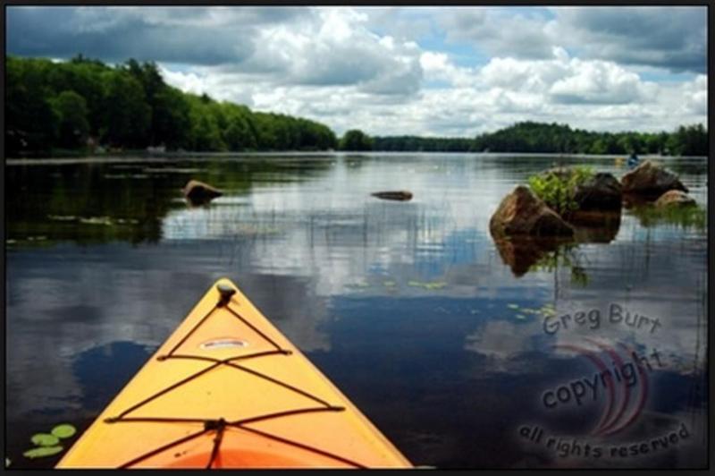 07 The Squam Lake Cottage 1-3 People 5 Min Walk to Harbor FREE BIKES KIEYAKS FIREWOOD WIFI This Cottage - image 5