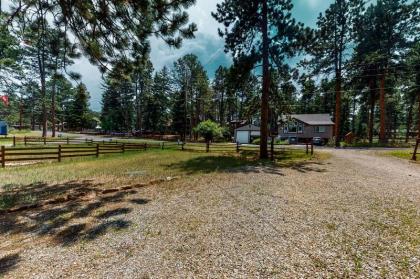 Bear Cabins - image 9